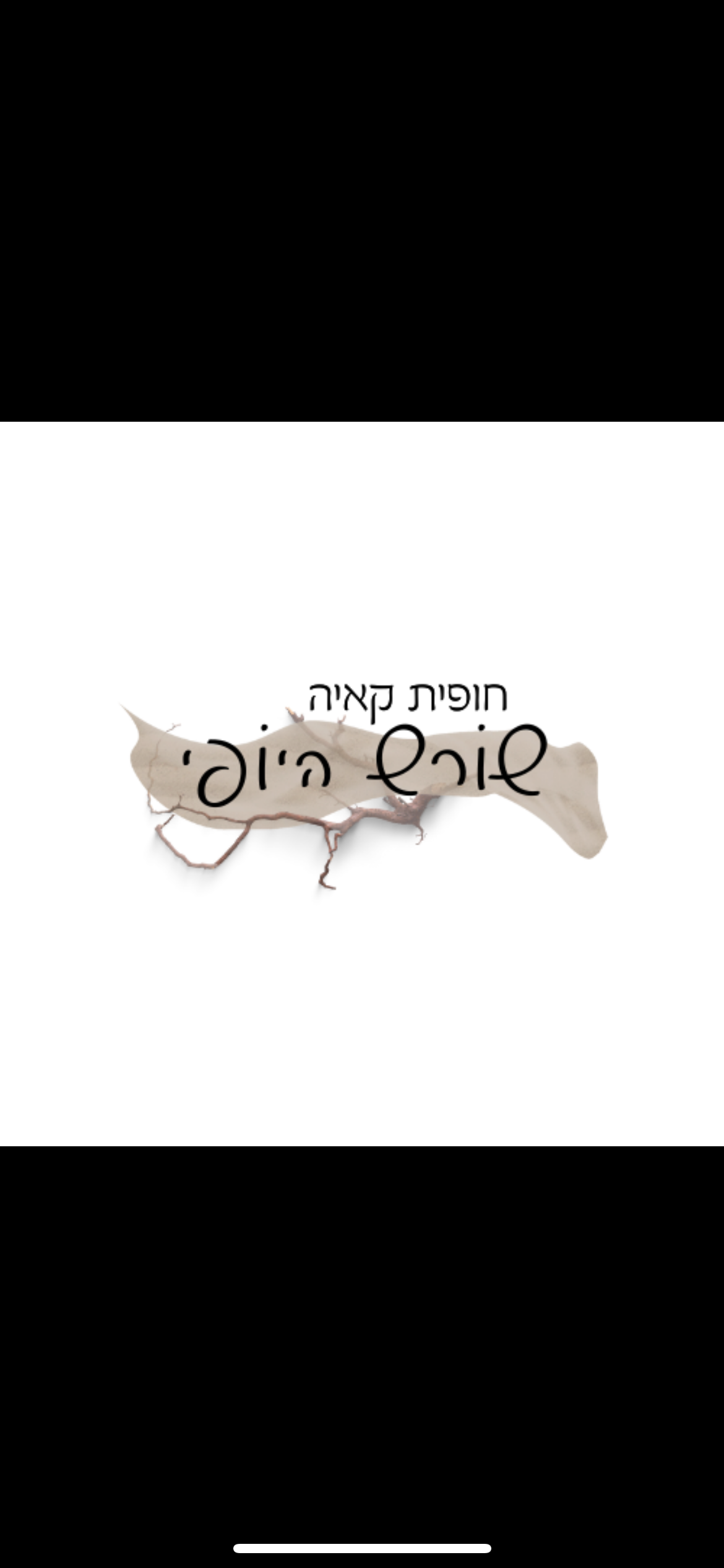 שורש היופי