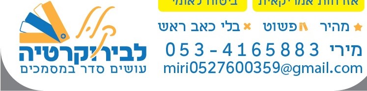 שירותי בירוקרטיה- שירותים מקוונים