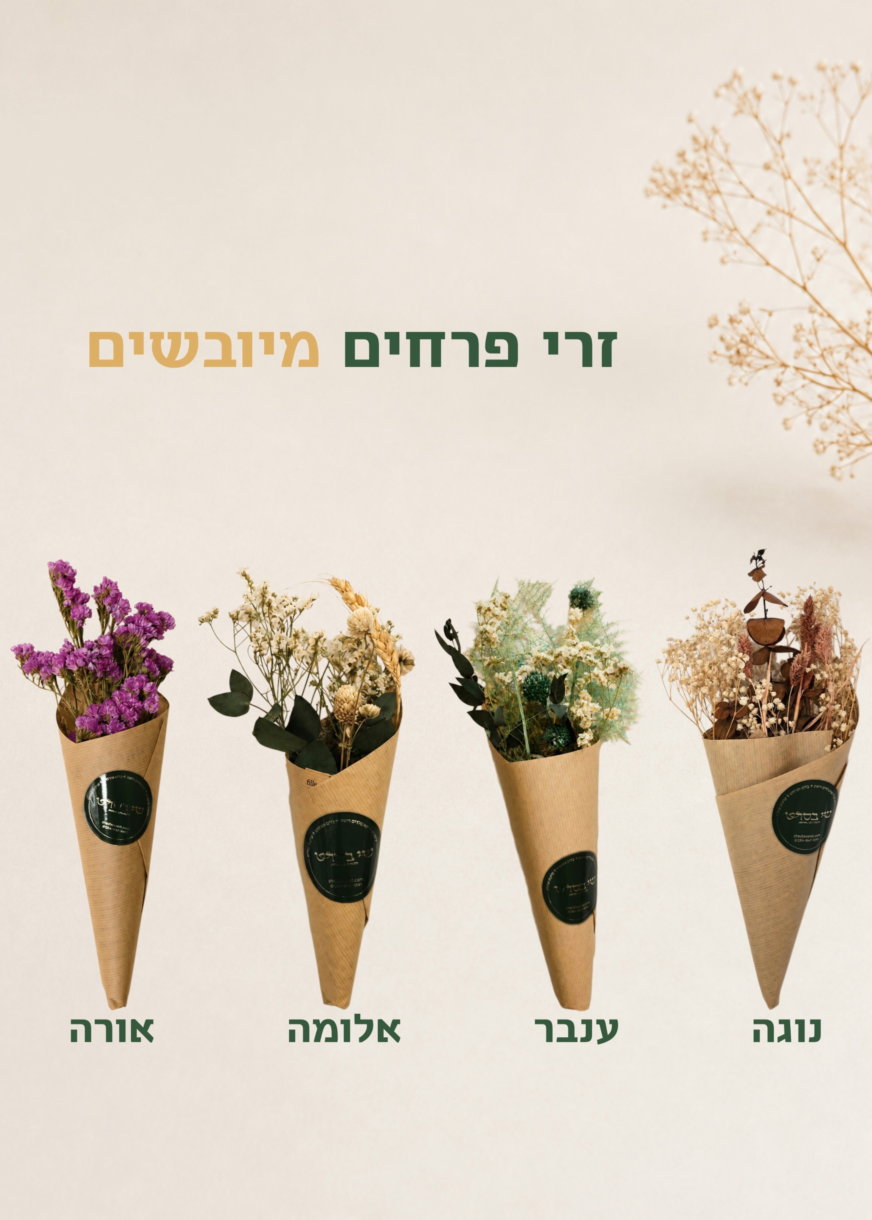 שי בסרט