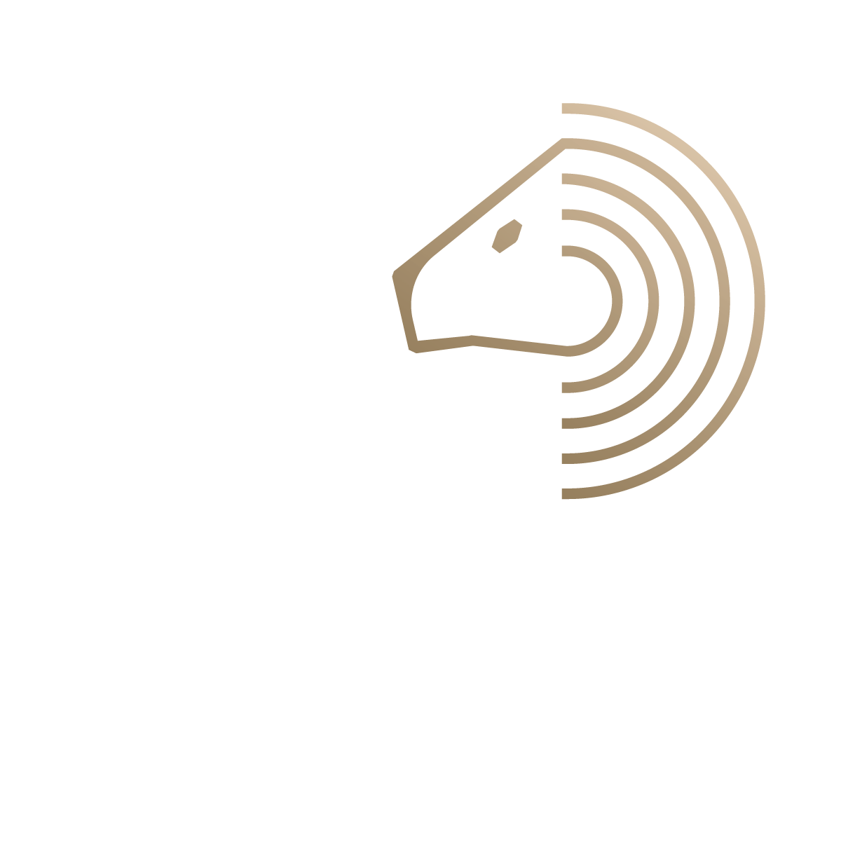פסח פרקוף – ייעוץ עסקי