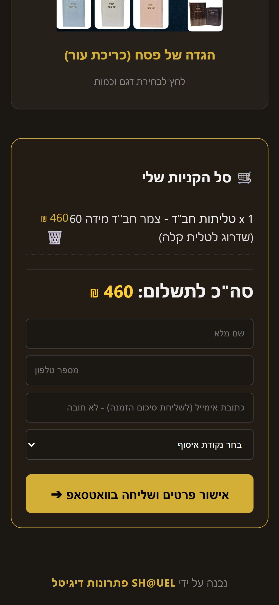 SHMUEL פתרונות דגיטל