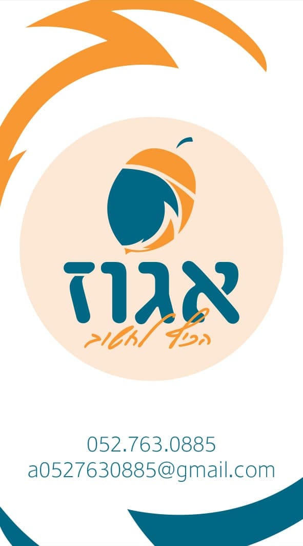 אגוז אתגרי חשיבה ואסטרטגיה