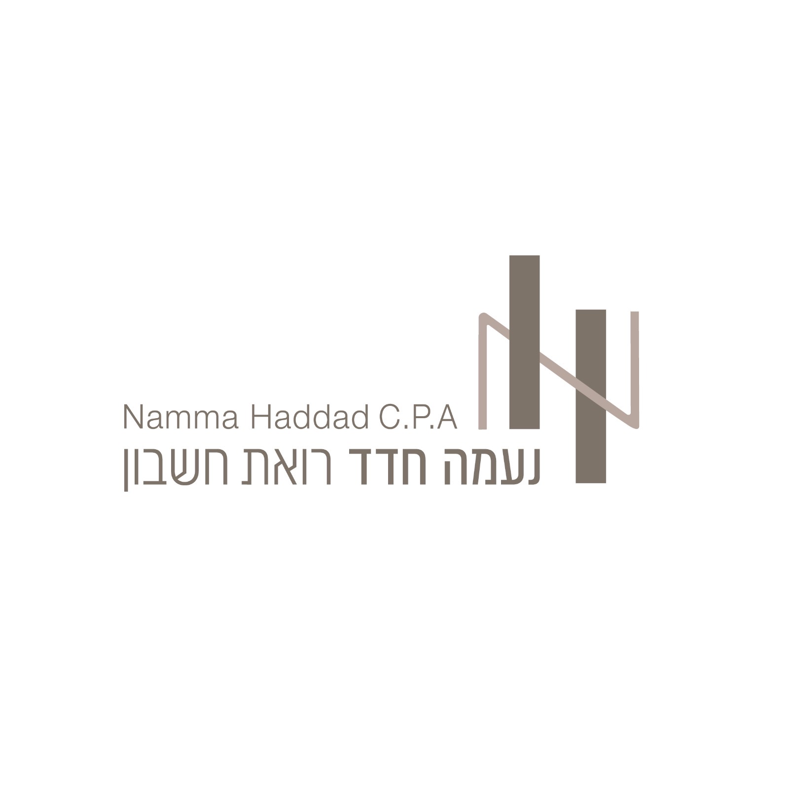 נעמה חדד רואת חשבון
